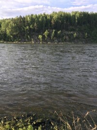 Алена
