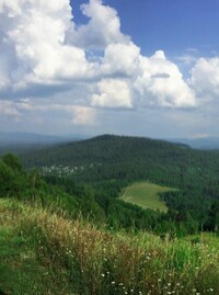 Мартынова Анна 