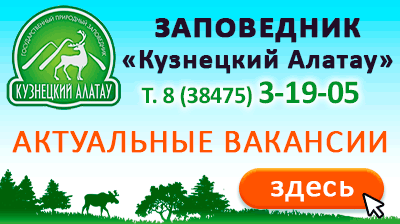 баннер