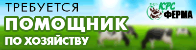 баннер