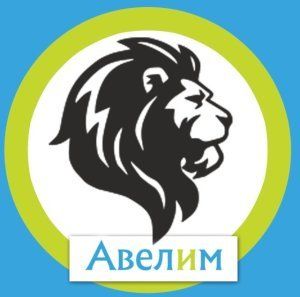 Авелим, фабрика стирки ковров