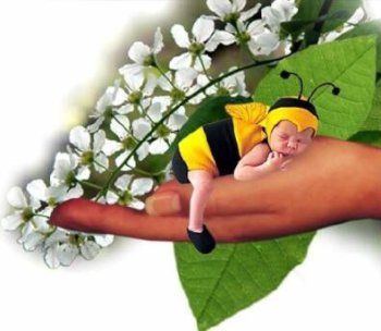 Черемушки, детский сад № 38