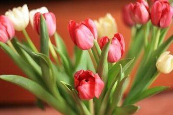 Детский сад № 9 «Золотой ключик» (Корпус №3)