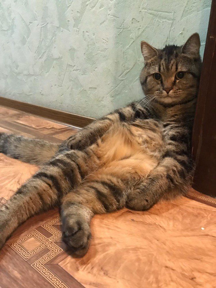 ...
