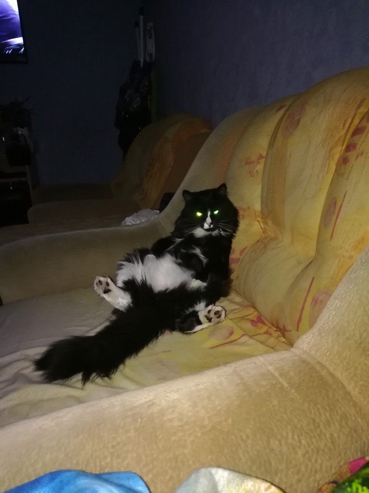 ...