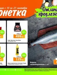 Монетка