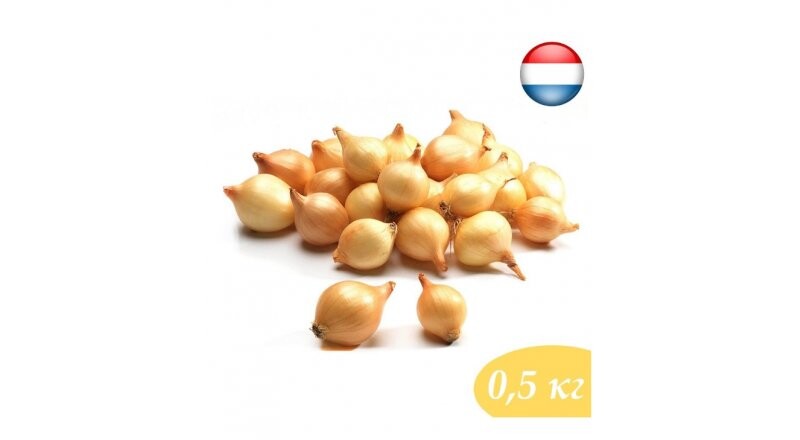 Лук-севок «Штутгартер Ризен»