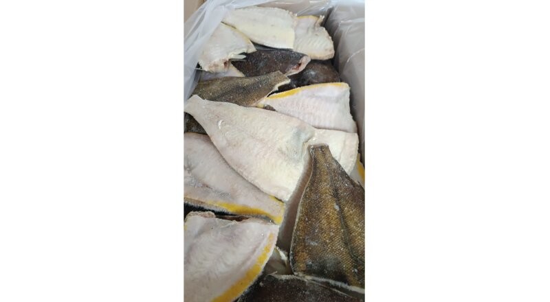 Камбала чищенная