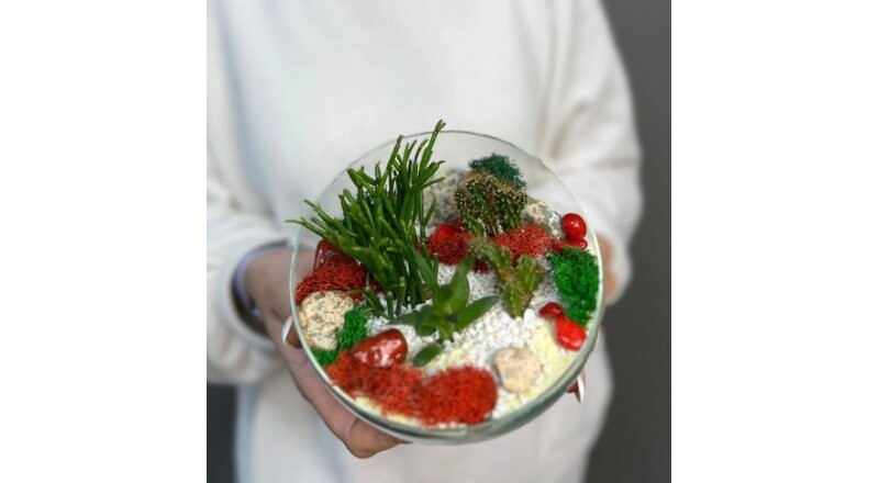 Флорариум «Мини сад»