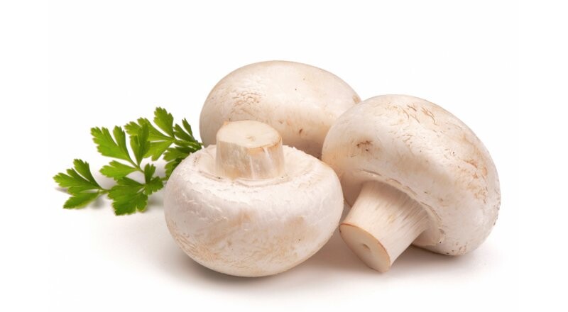 Грибы «Шампиньоны»