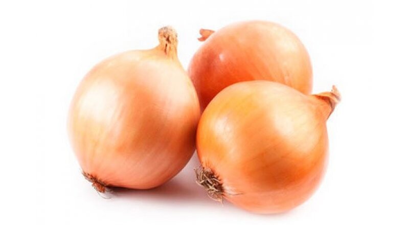 Лук репчатый