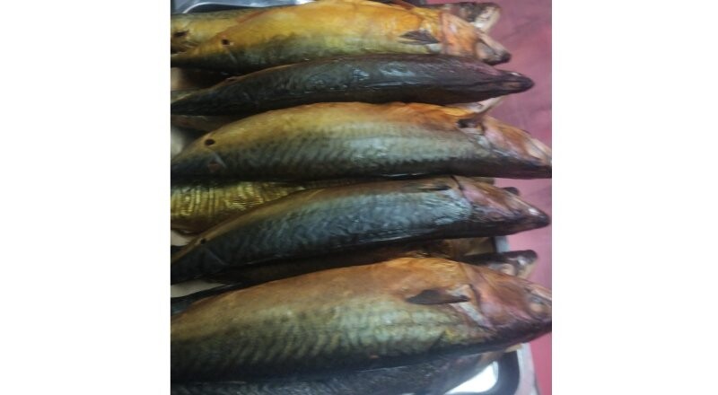 Скумбрия х/к