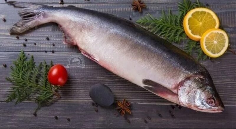 Горбуша малосольная 