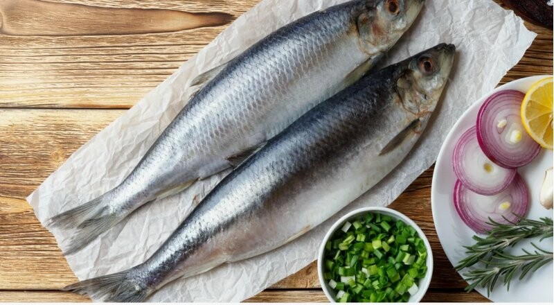 Сельдь «Олюторская»