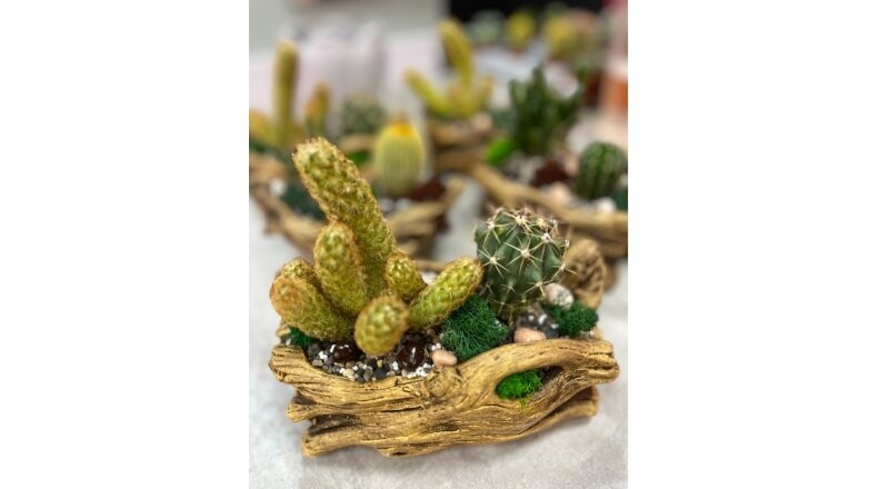 Кашпо «Мини-сад»