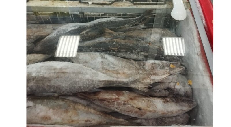 Ставрида 900