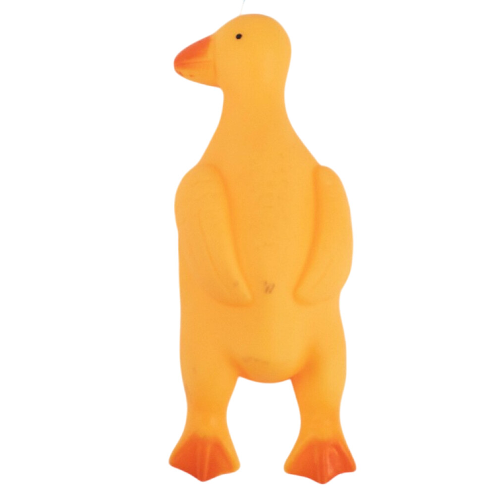 Игрушка-пищалка для животных «Птица»