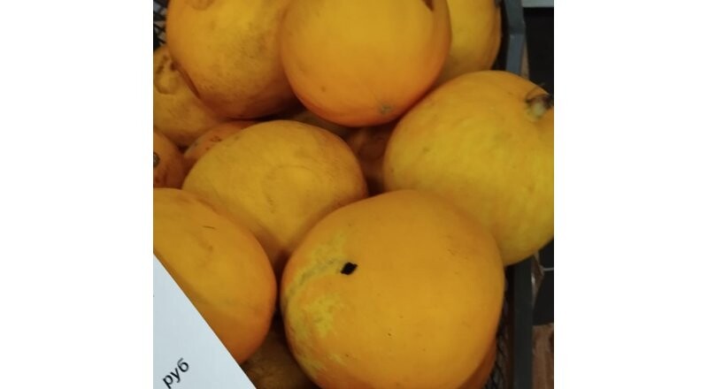 Дыня весовая