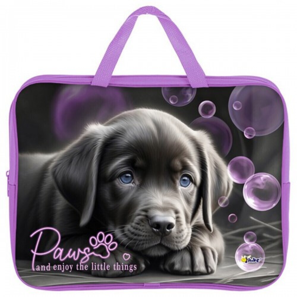 Папка для менеджера «Дай лапу»