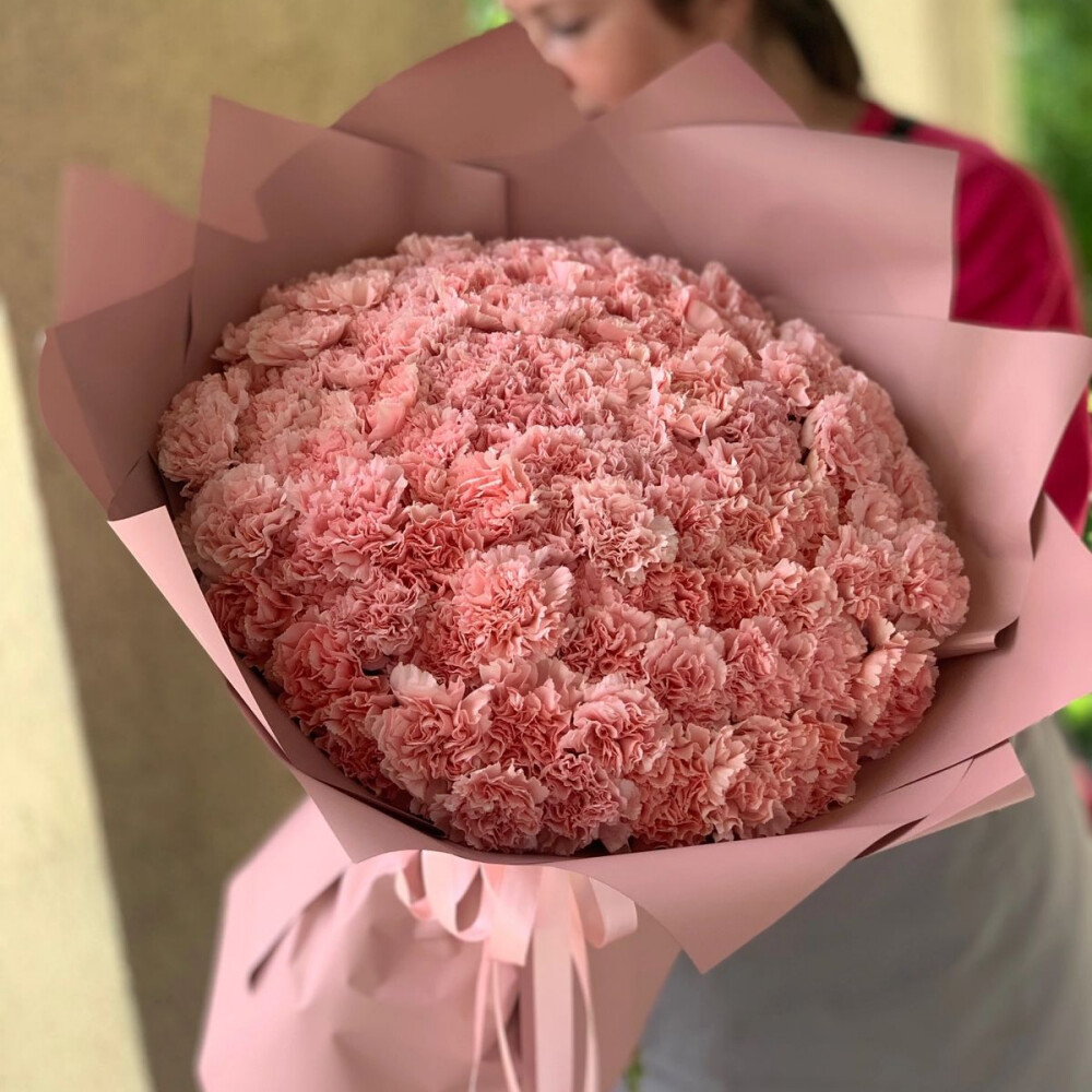 101 кружевной диантус