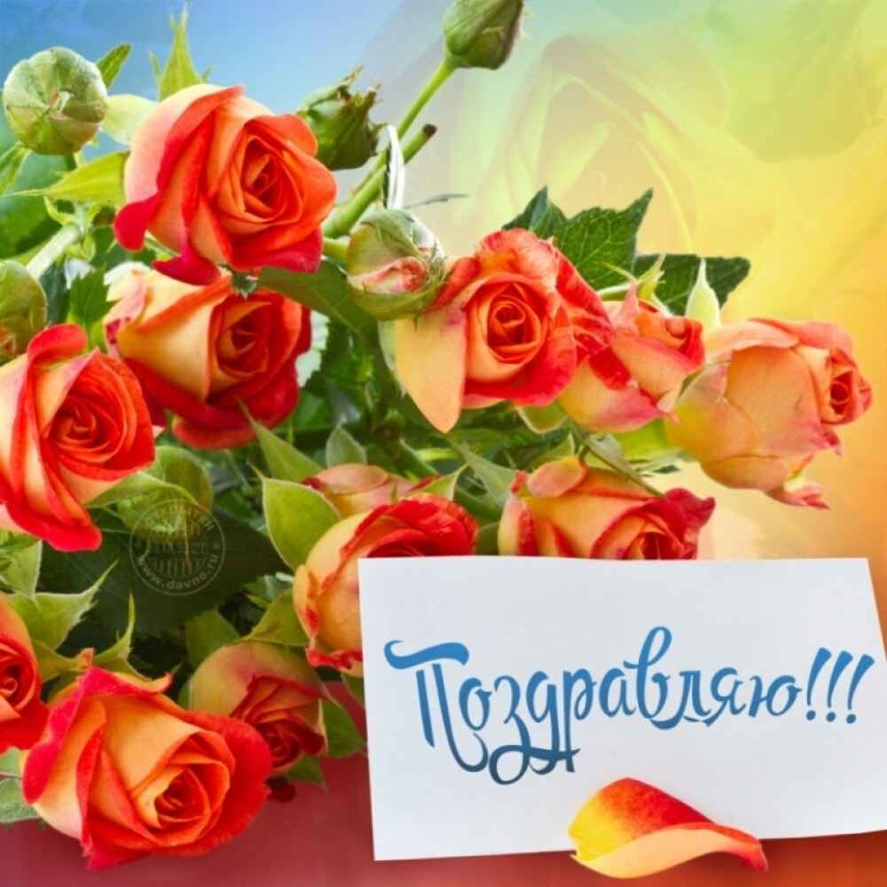 Открытка (подпишем по вашему пожеланию)