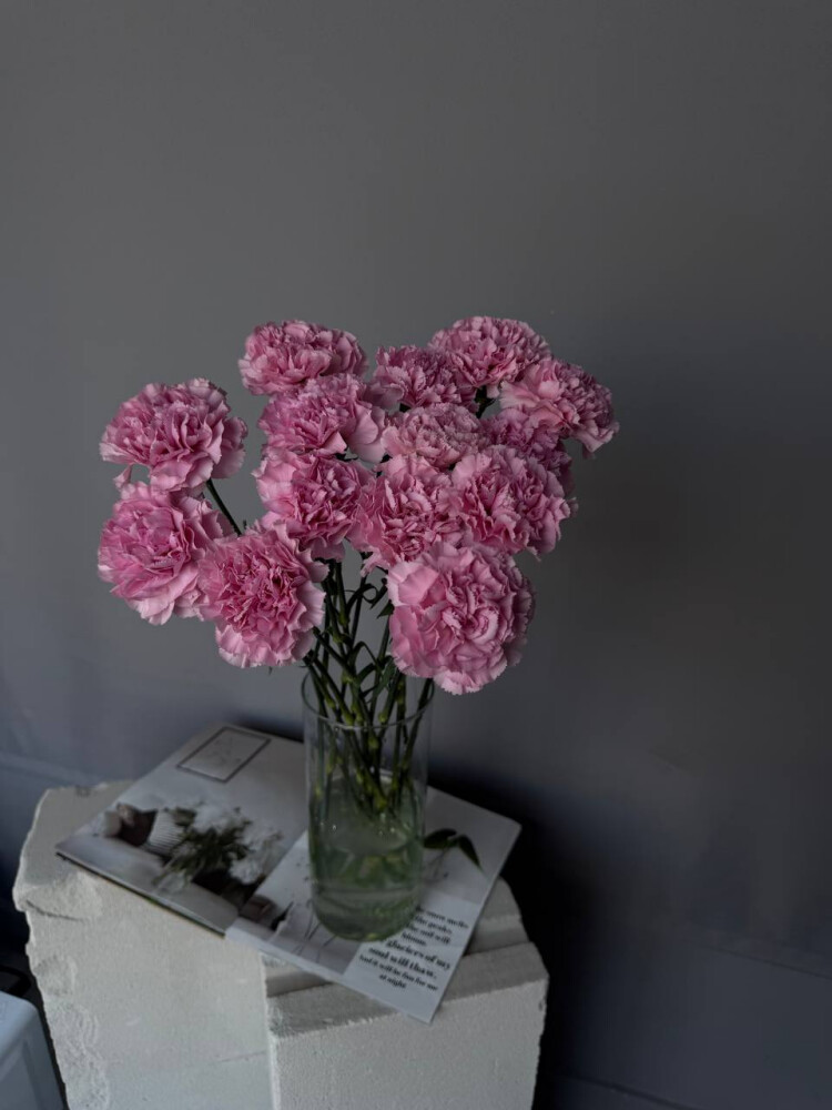 Диантусы розовые 15 штук