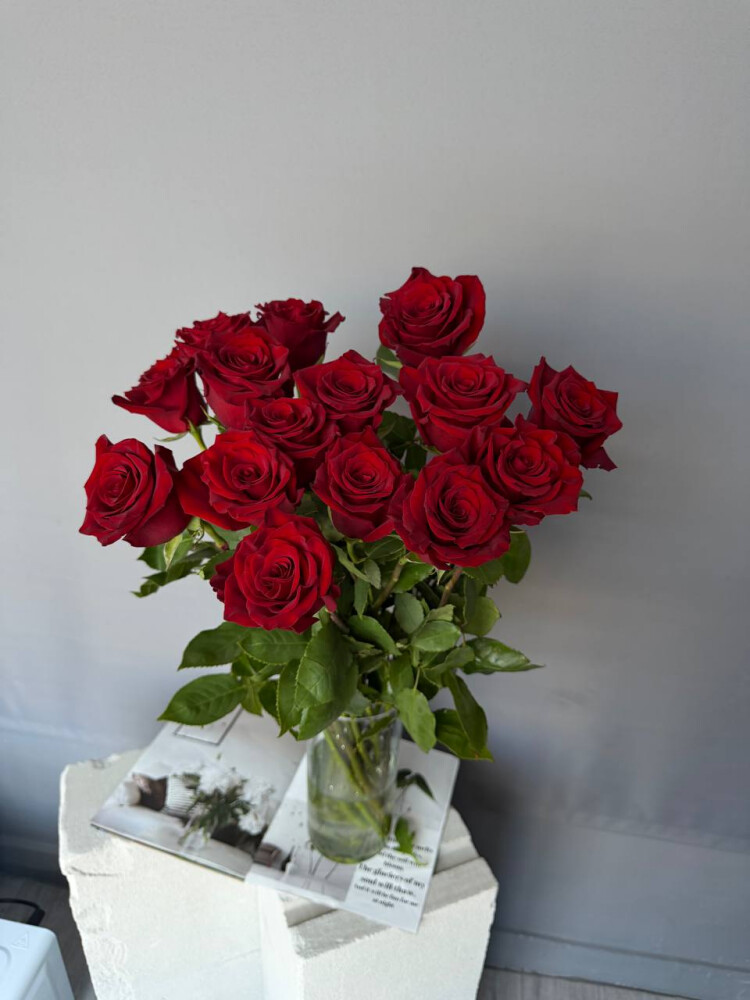 Роза Эксплорер 15 штук