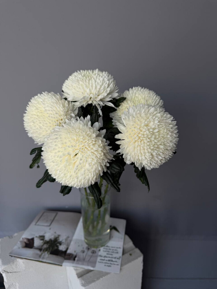 Хризантема Магнум 5 шт