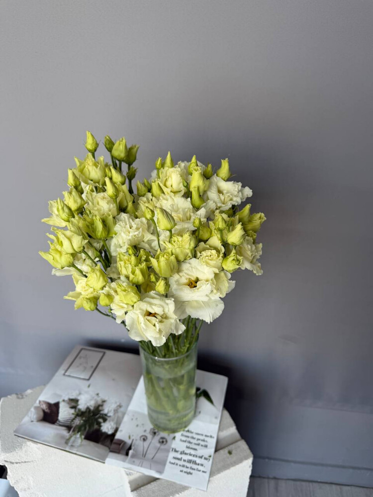 Лизиантус 10 шт