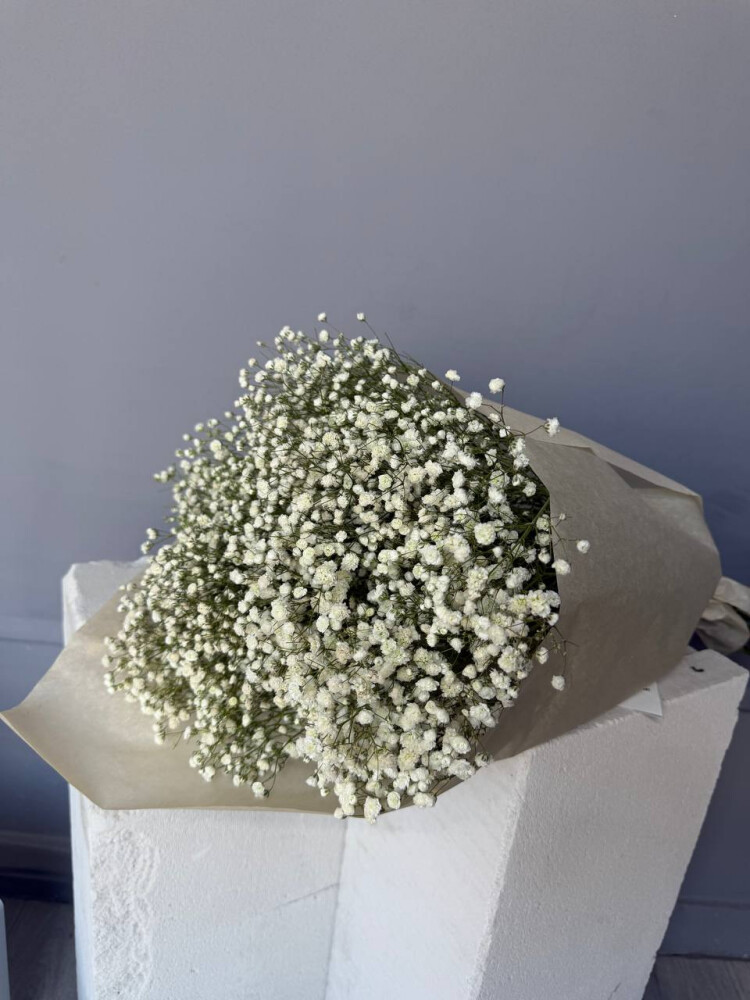 Гипсофила банч