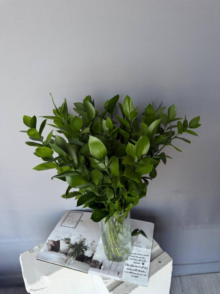 Рускус 20 шт