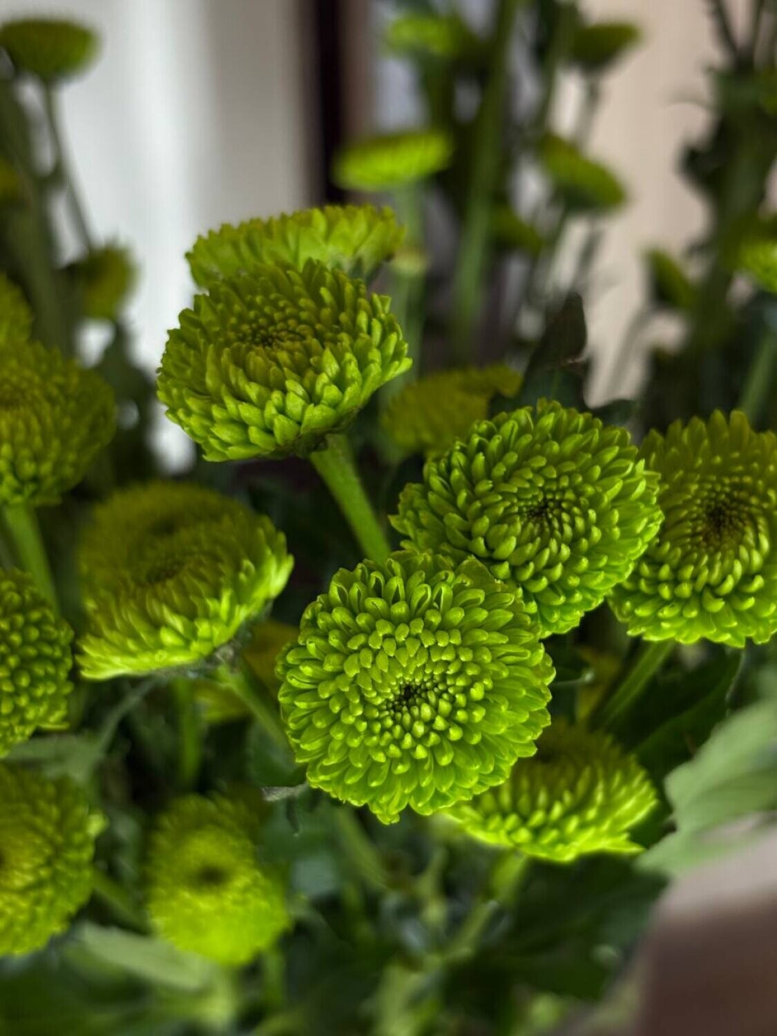 Гель для стирки «Sorti Color»