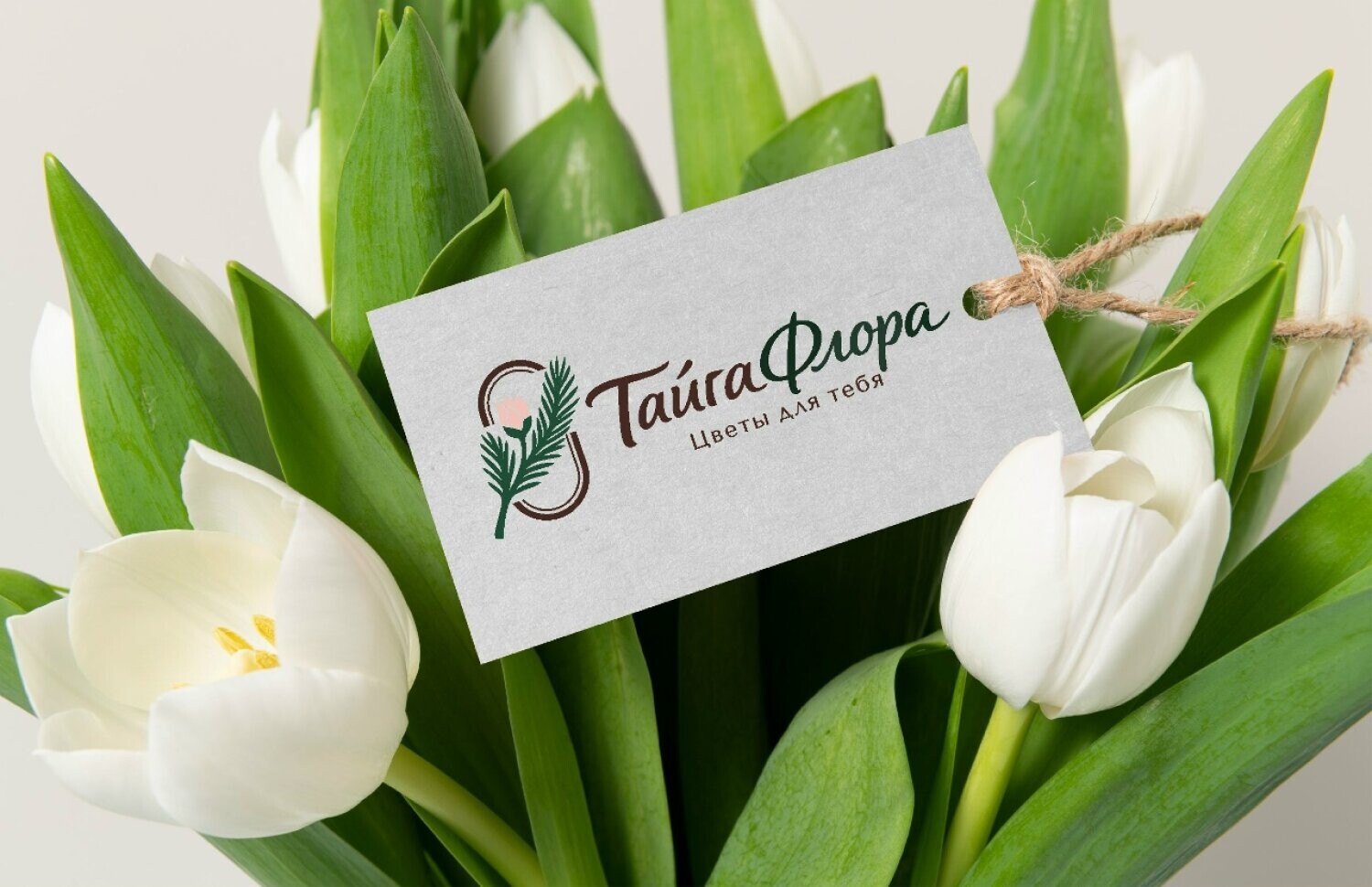 Бонусная система в «ТайгаФлора»