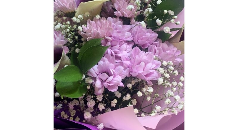 Кустовая хризантема