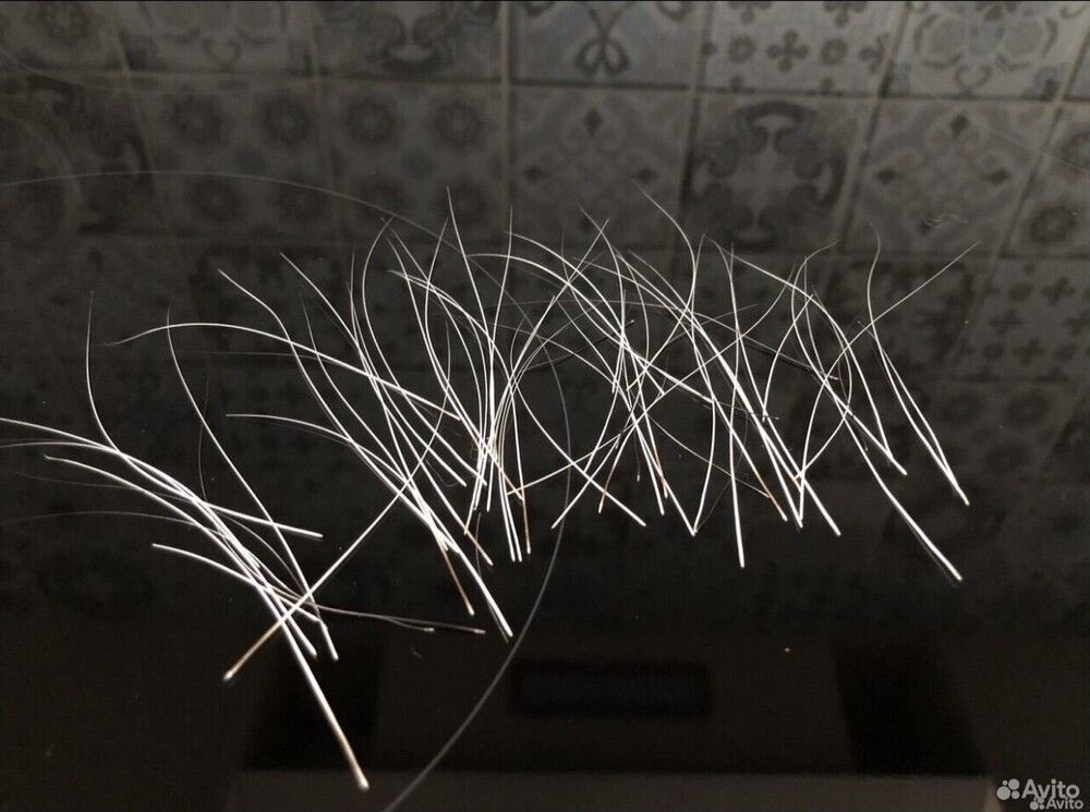 Кемеровчане придумали, как зарабатывать на отмерших частях кошек